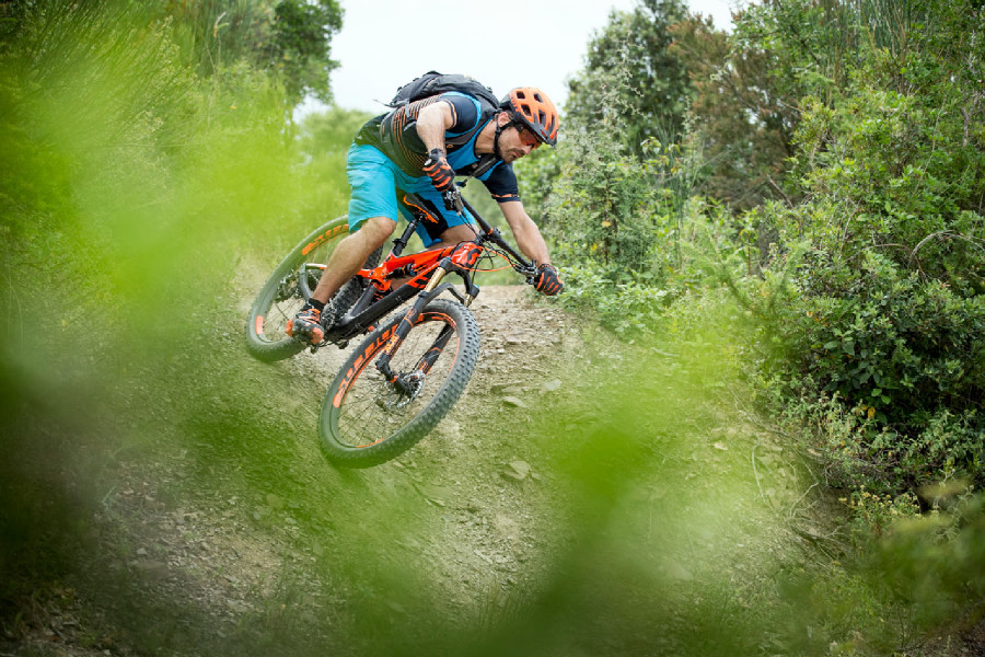 Scott 2016 press meeting