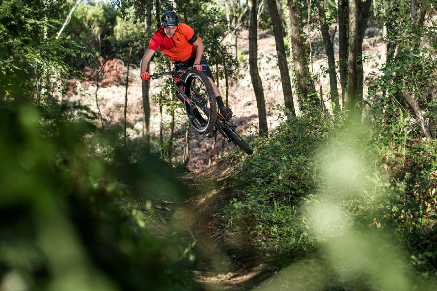 Scott 2016 press meeting