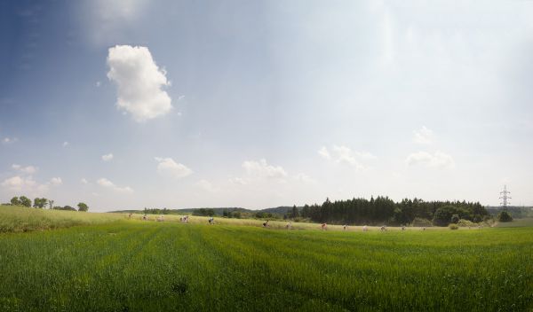 ČEZ Bike Prague 2015