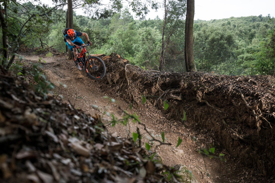 Scott 2016 press meeting