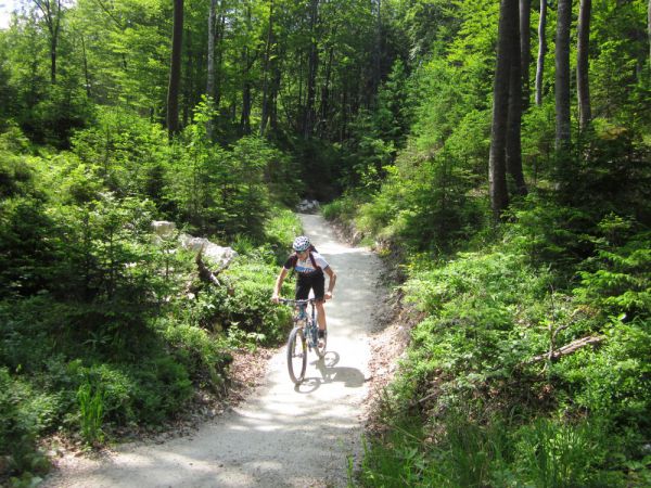 Flow Country Trail Petzen