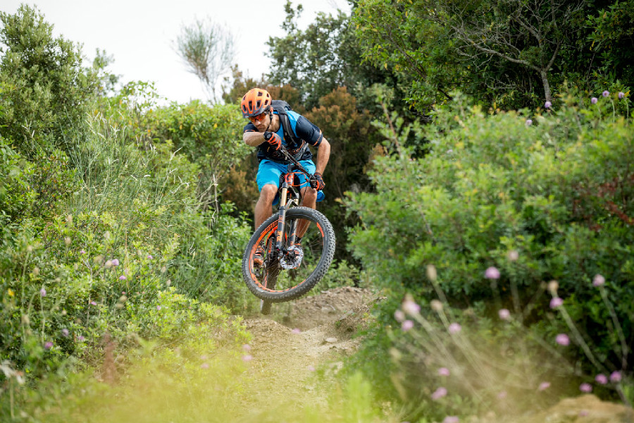 Scott 2016 press meeting