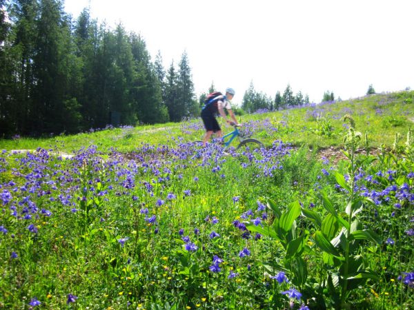 Flow Country Trail Petzen