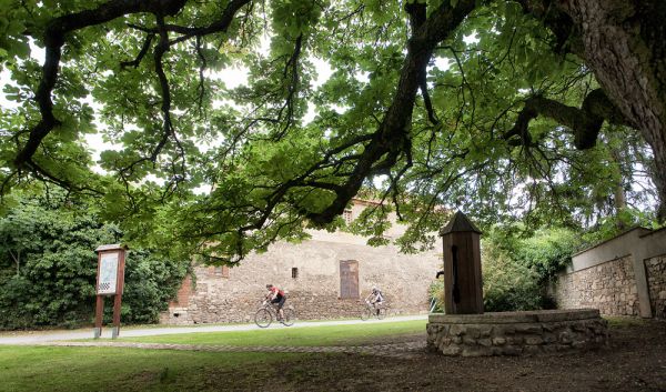 ČEZ Bike Prague 2015