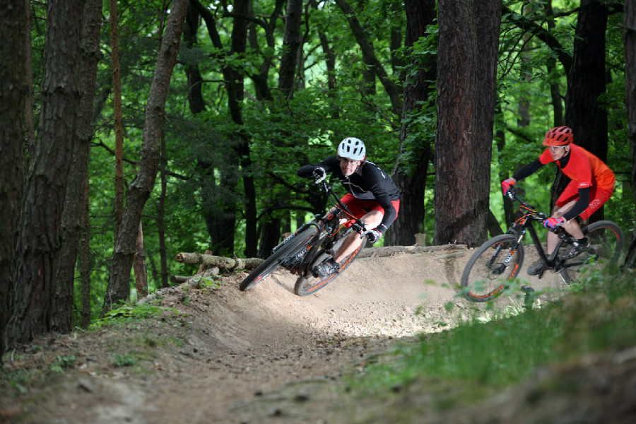 Scott Genius 27,5 vs. 29