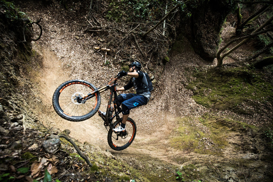 Scott 2016 press meeting