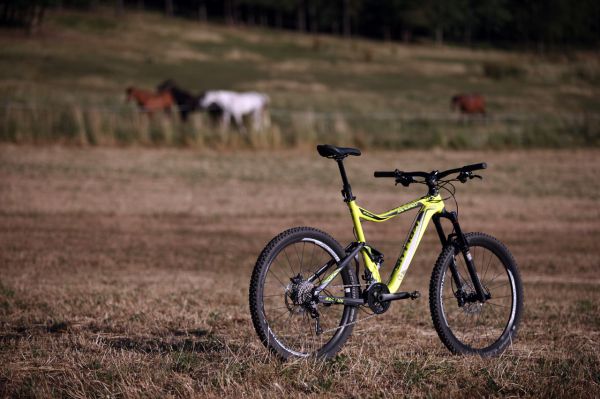 Kellys Swag & CTM Scroll