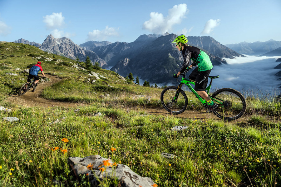 Kross 2016 - Soil & Dust