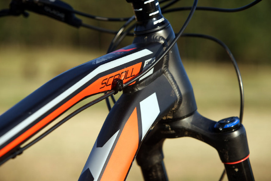 Kellys Swag & CTM Scroll