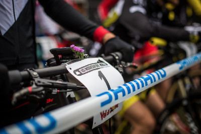 vzpomínka na Annefleur Kalvenhaar