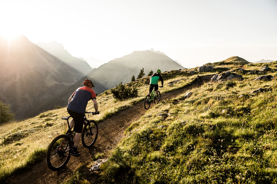 Kross 2016 - Soil & Dust