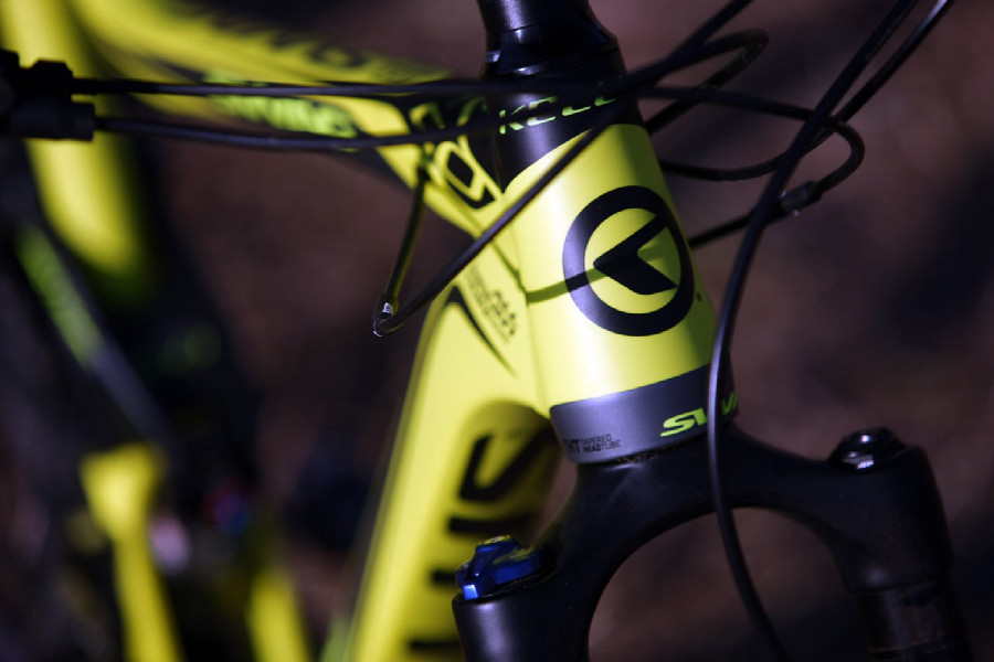 Kellys Swag & CTM Scroll