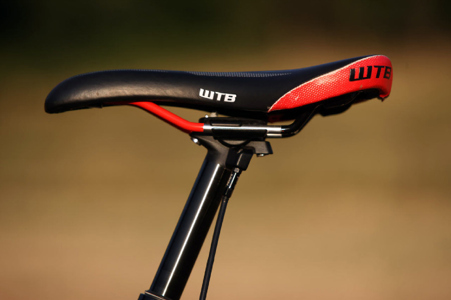 Kellys Swag & CTM Scroll