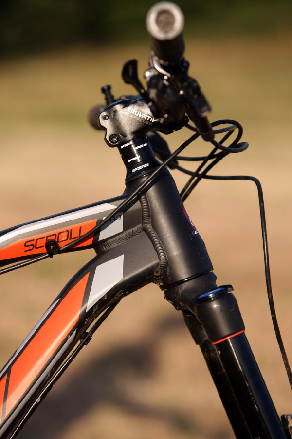 Kellys Swag & CTM Scroll