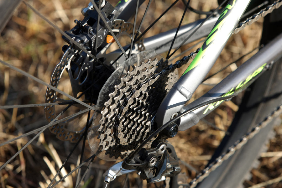 Kellys Swag & CTM Scroll