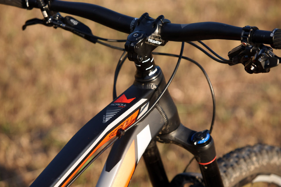 Kellys Swag & CTM Scroll