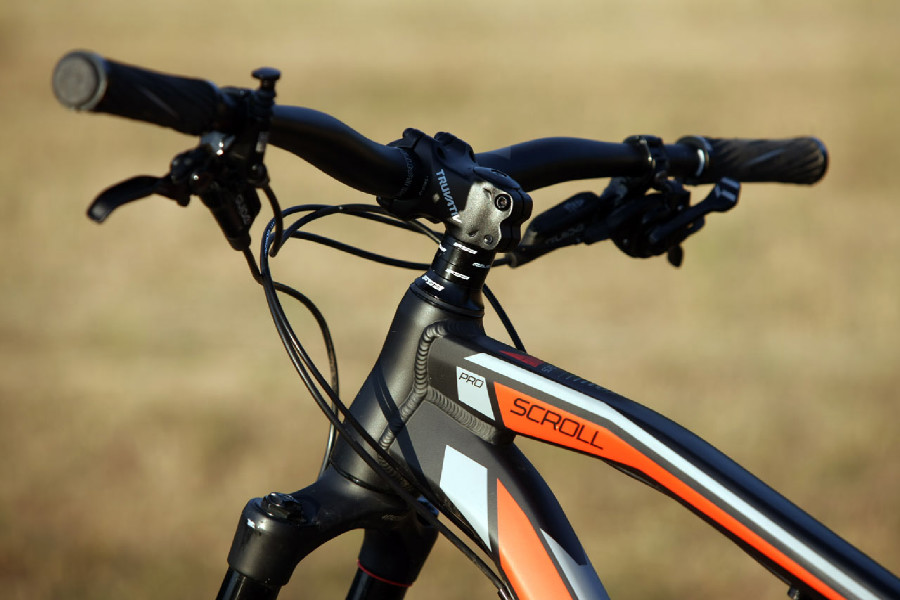 Kellys Swag & CTM Scroll