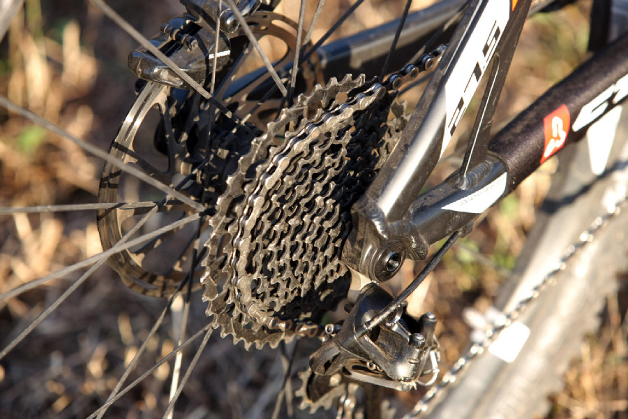 Kellys Swag & CTM Scroll