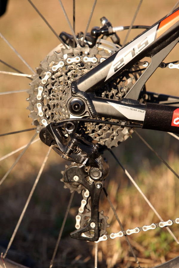 Kellys Swag & CTM Scroll