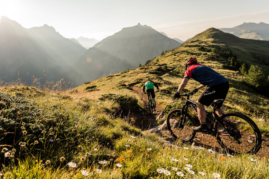 Kross 2016 - Soil & Dust