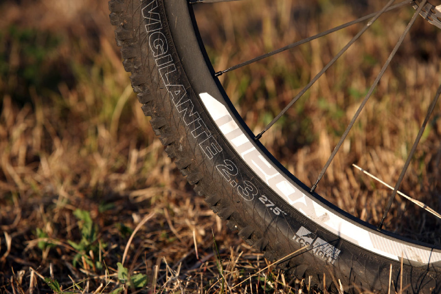 Kellys Swag & CTM Scroll