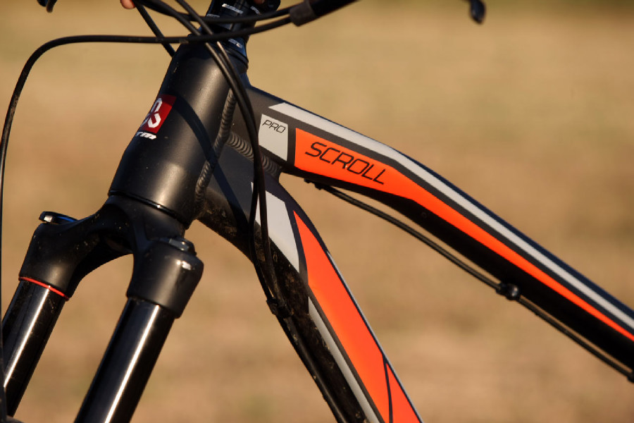 Kellys Swag & CTM Scroll