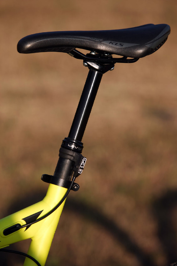 Kellys Swag & CTM Scroll