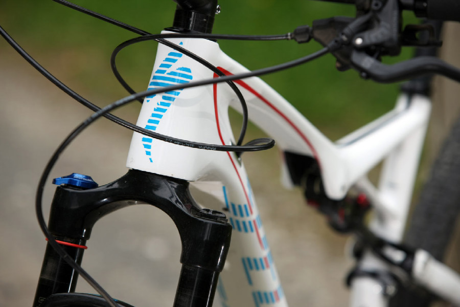 Sprcialized Epic Comp Carbon 29