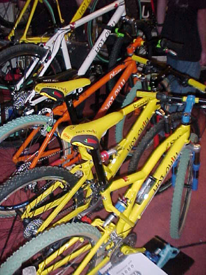 Bike Vysočina 1999 - hotel Sázava