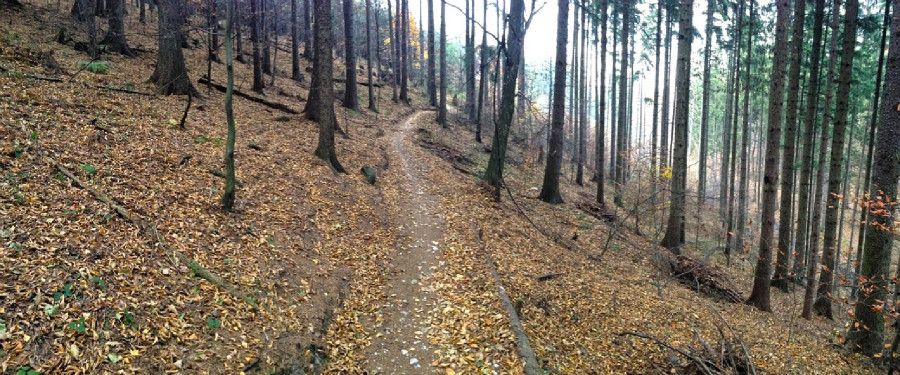 Rychleby - podzim 2015 - údolí Černého potoka