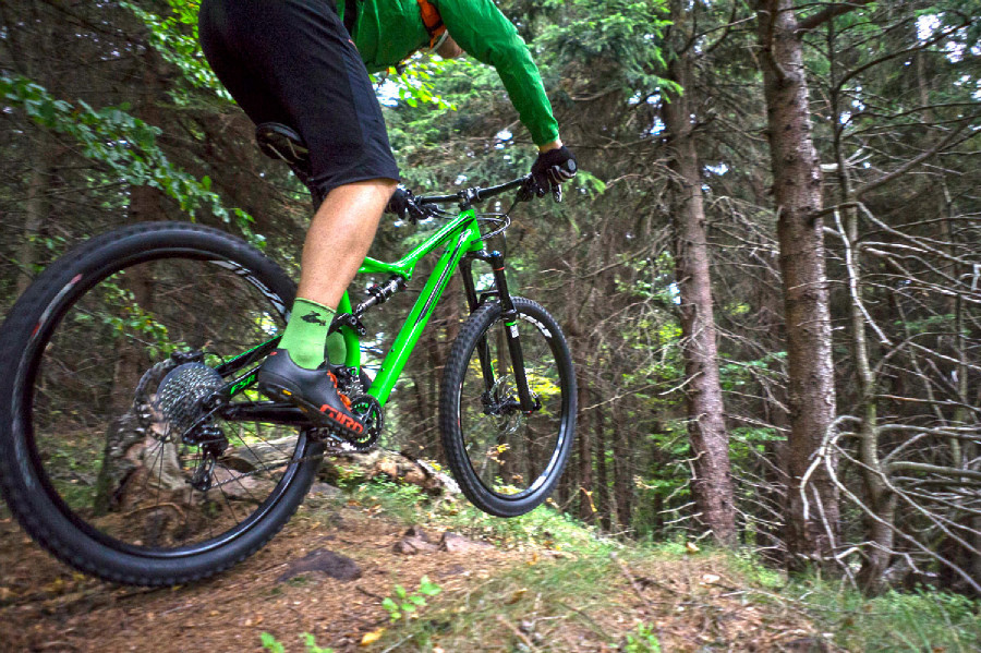 Specialized SJ FSR Comp 29