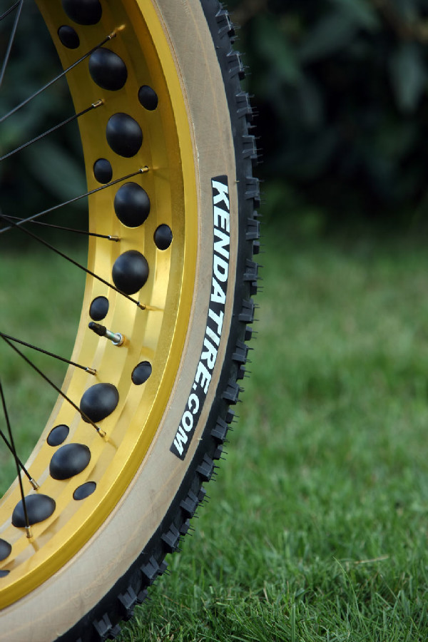 Mongoose Argus Expert