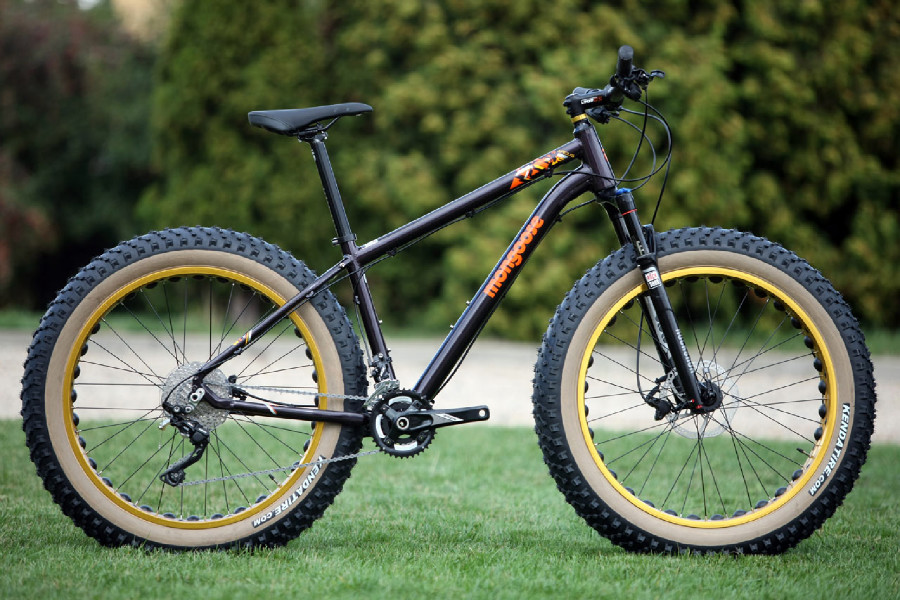 Mongoose Argus Expert