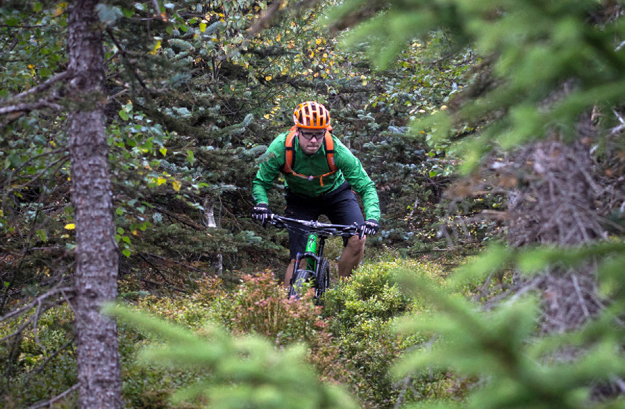 Specialized SJ FSR Comp 29