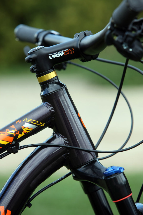 Mongoose Argus Expert