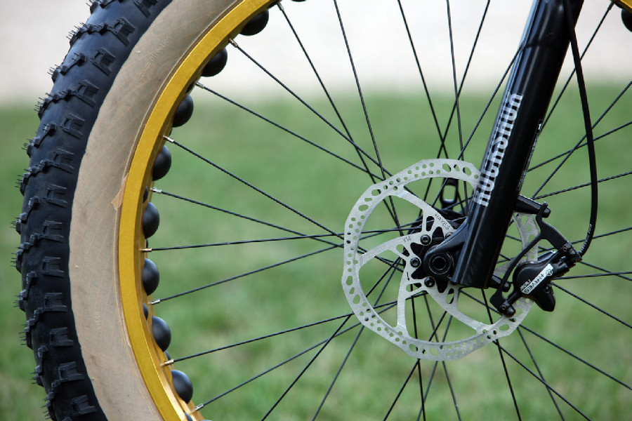 Mongoose Argus Expert