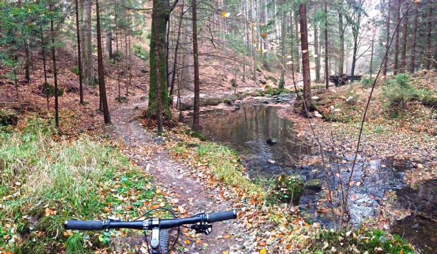 Rychleby - podzim 2015 - údolí Černého potoka