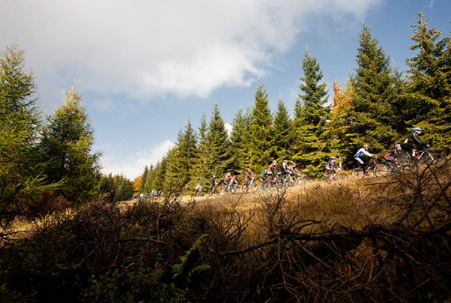 Jubilejní 20. ročník ČT Author Cup 2015