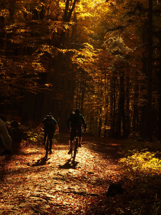 Rychleby - podzim 2015 s Rowanem Sorrellem