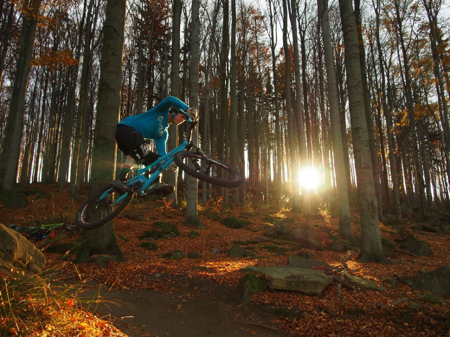 Rychleby - podzim 2015 s Rowanem Sorrellem