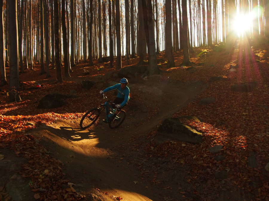 Rychleby - podzim 2015 s Rowanem Sorrellem