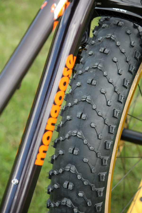 Mongoose Argus Expert