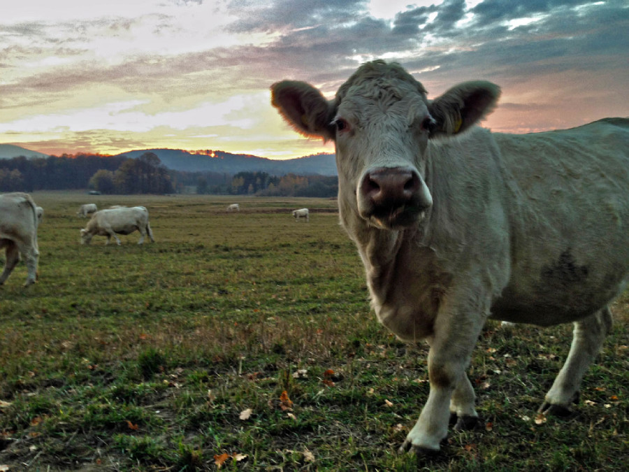 Rychleby - podzim 2015