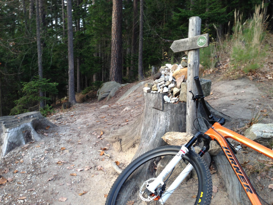 Rychleby - podzim 2015 - údolí Černého potoka