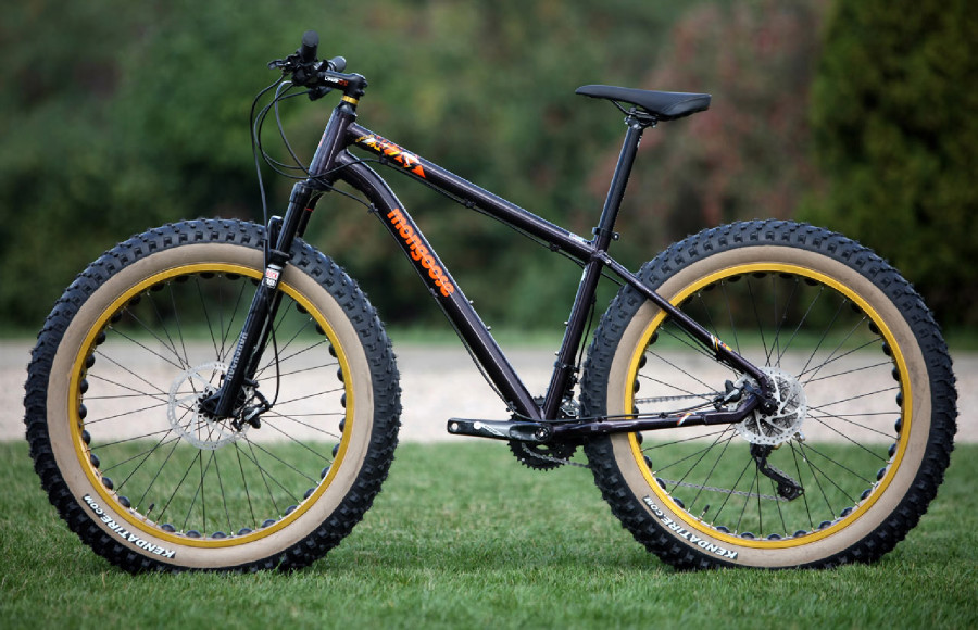 Mongoose Argus Expert