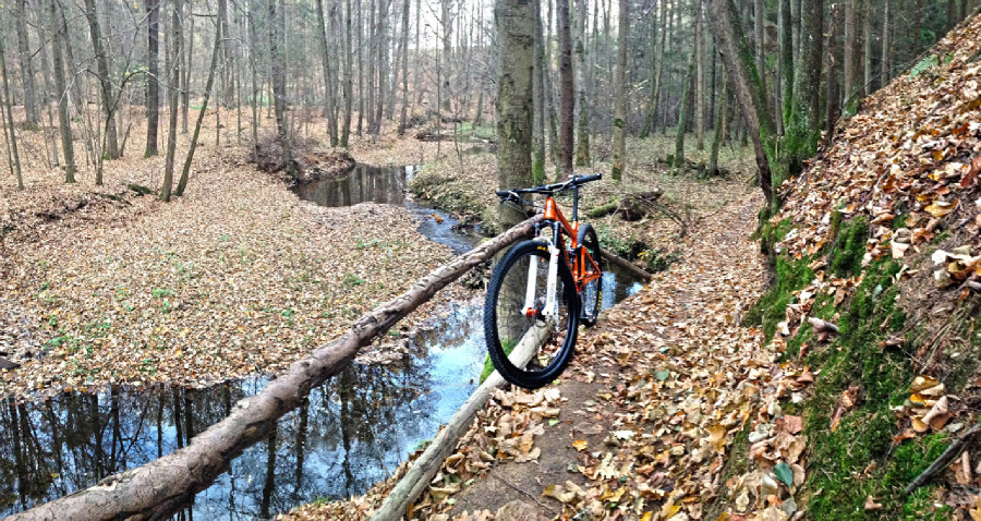 Rychleby - podzim 2015 - údolí Černého potoka