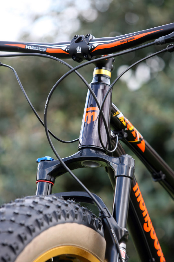 Mongoose Argus Expert