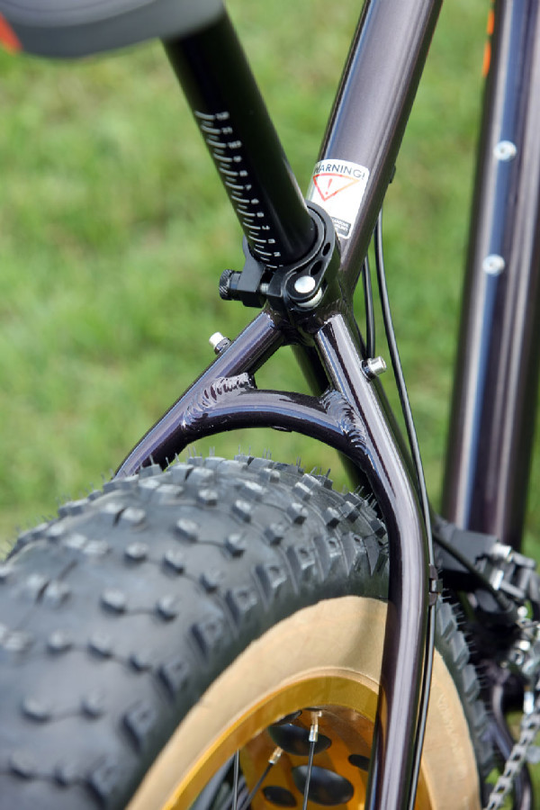 Mongoose Argus Expert