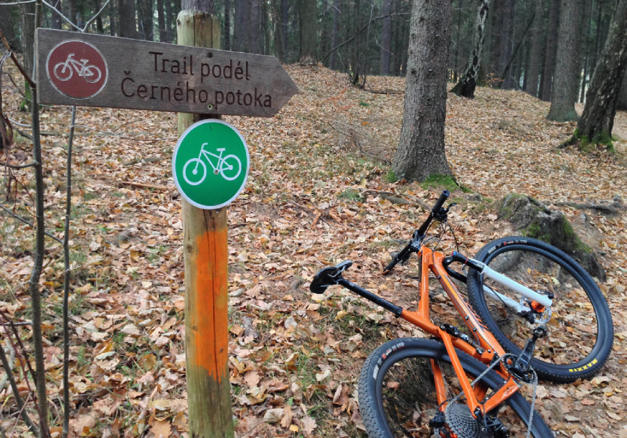 Rychleby - podzim 2015 - údolí Černého potoka