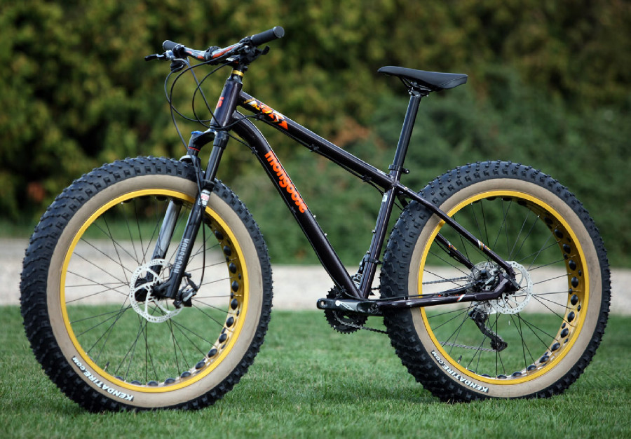 Mongoose Argus Expert